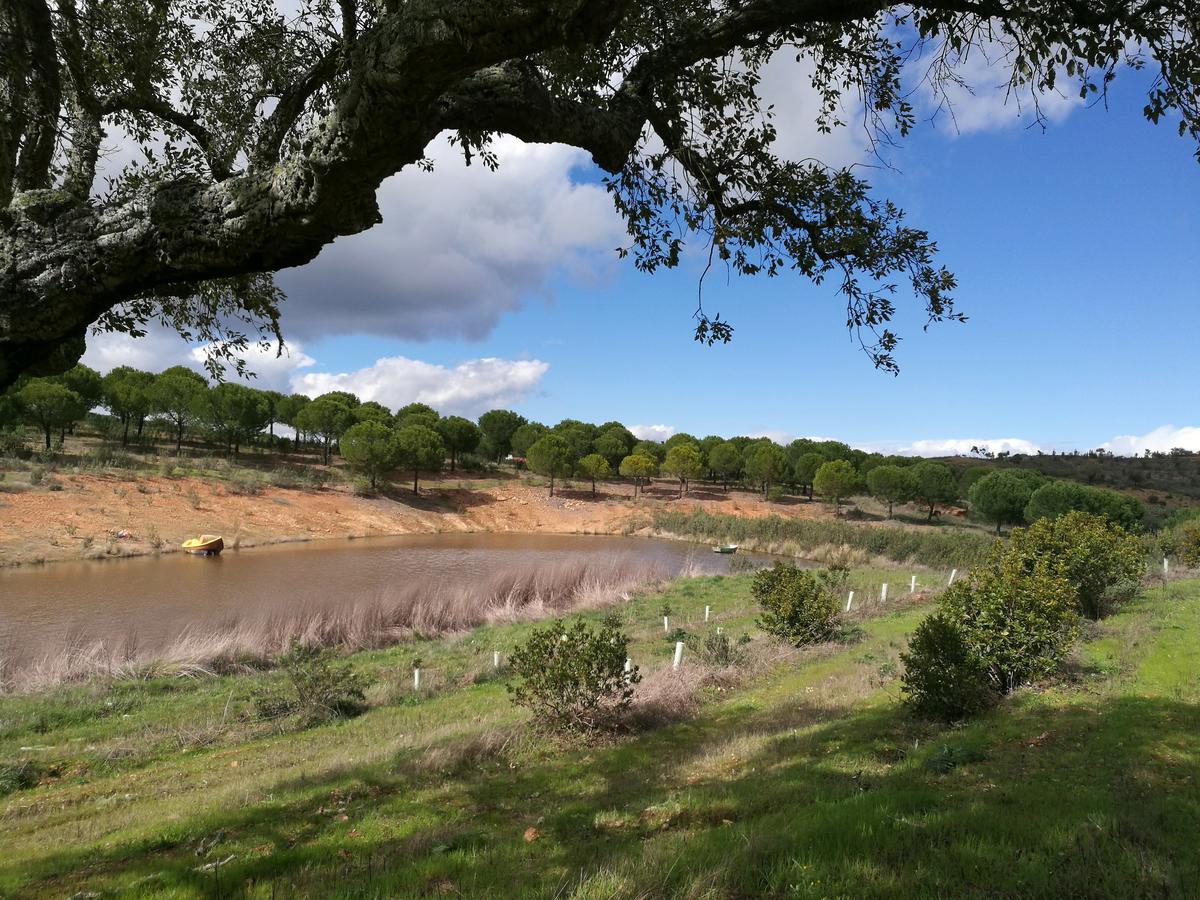 Herdade Do Rio Torto Portel Exterior foto